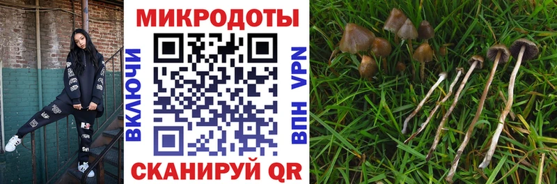 Галлюциногенные грибы мухоморы Пыталово